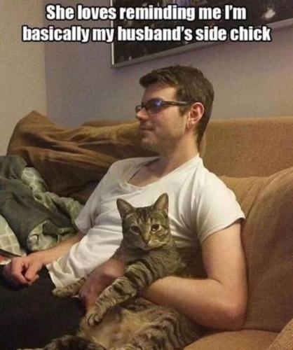 66b624fd3268a_funny-animal-feed-memes