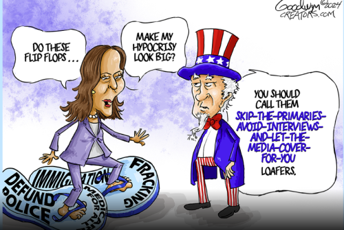 Screenshot 2024-08-06 084332