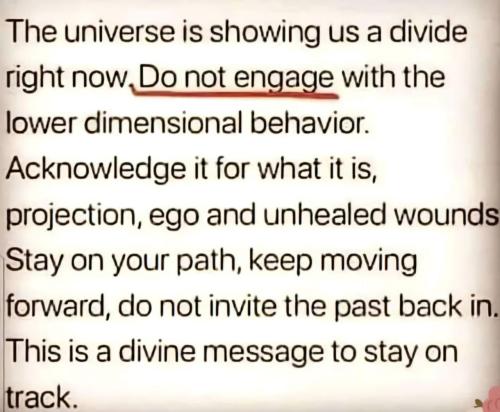 IMG_20240804_111402_144