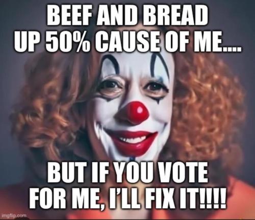 KAMI MISERY INDEX CLOWN