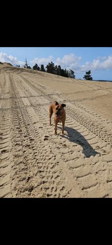 Screenshot_20240825_193430_Gallery