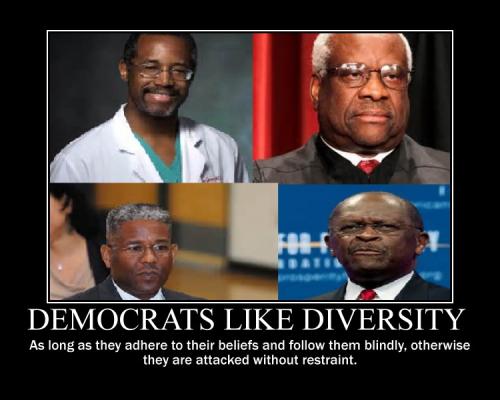 REPUBLICAN DIVERSITY