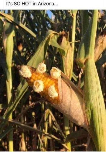 453478795_8583744528322449_2664799527772748657_n