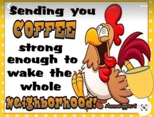 454559110_1941647506282349_1023518558547388159_n