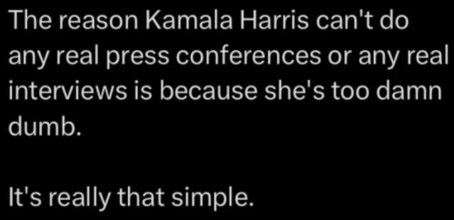 image_2024-08-17_143054726