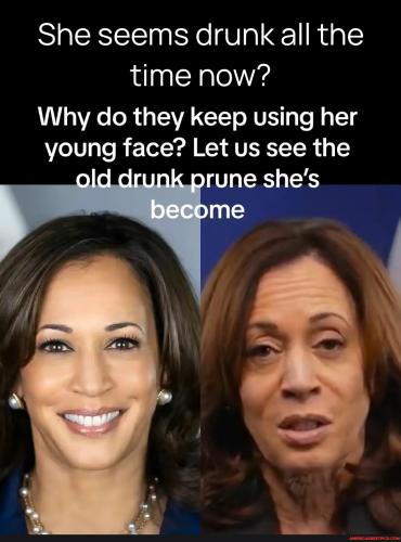 6353112f0c32dd57d2456f5c4ae2dafdba1060e0a9f9c45acd8af35e81e099c7_1