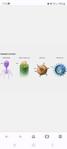 Screenshot_20240827_191527_Opera