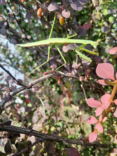 42127ff8-3ede-40a8-9d61-61a9541628de