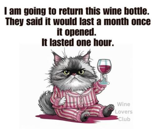 455694849_516868784194695_757482093250692109_n