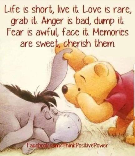 453215179_8601412973222271_3061073075391149566_n