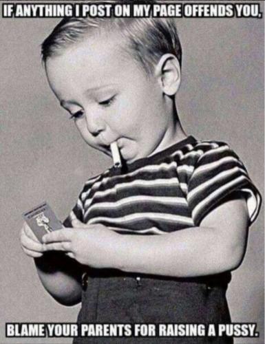 Screenshot_20240814-144222_Brave