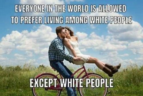 FB_IMG_1723026242043