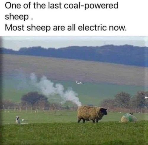FB_IMG_1723269188216