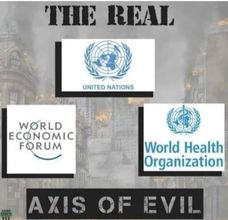 the real