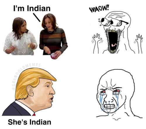 photo_2024-08-01_16-29-42