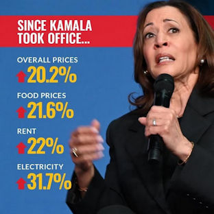 kamala harris388