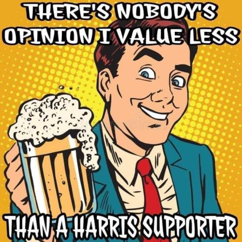 no opinion