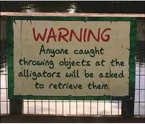 alligators
