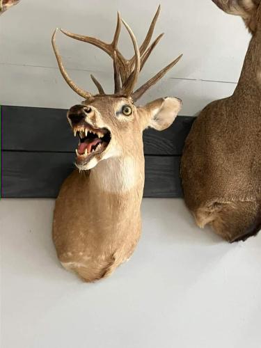 FB_IMG_1719960636250