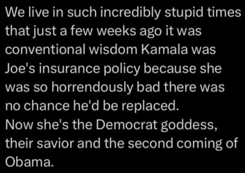 image_2024-08-20_062231531