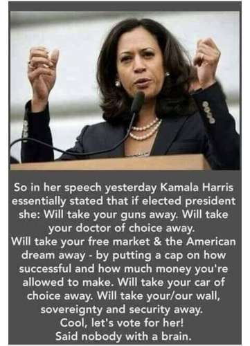 image_2024-08-22_063315850