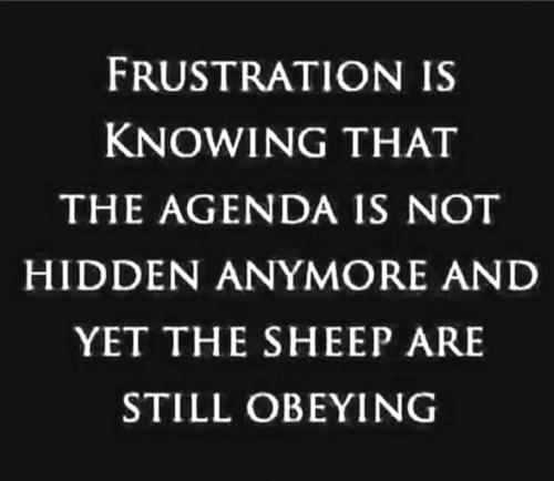 Screenshot_20240825_233933_Instagram