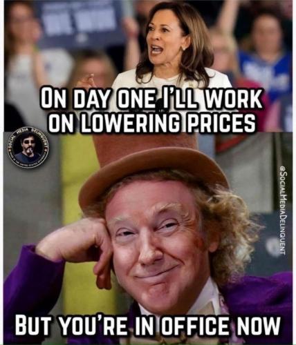 photo_2024-08-11_16-16-14