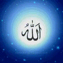 Salwan_Momika_20240814_10
