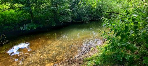 IMG_20240730_105522023_HDR