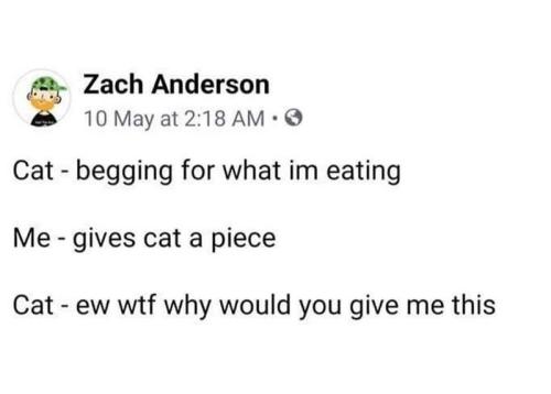 zach-anderson-10-may-at-218-am-cat-begging-im-eating-gives-cat-piece-cat-ew-wtf-why-would-give-this