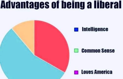 caa63302-cde5-4f39-b257-d8228c829346