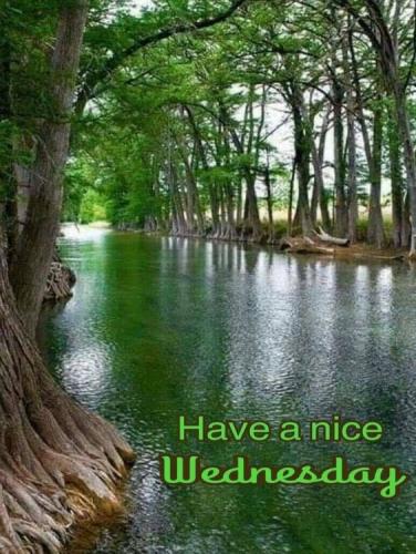 Happy Wednesday 8