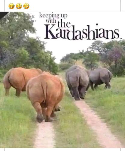 IMG_20240804_182649_077