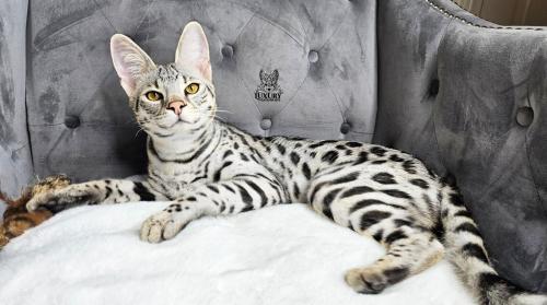 02:14:56 GMT-0500 (CDT)