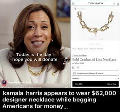 kamala harris355