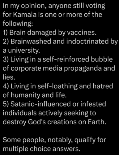 image_2024-08-31_091640571