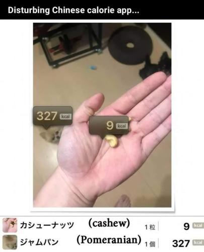 image_BDEA3B73-2F9A-4A63-818A-1935BDF15FBE