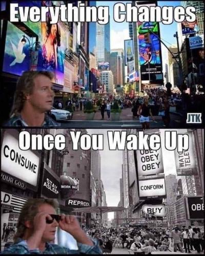 FB_IMG_1723268968188