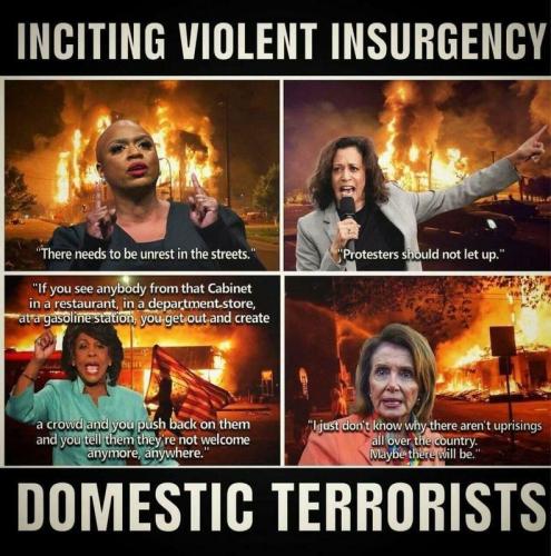 DEMOCRAT TERRORISTS