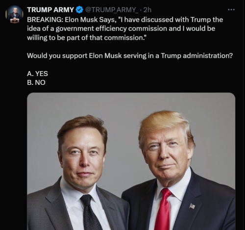 Musk 1