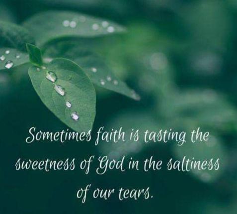 ae465665-dba1-4609-9b92-97c5fe4cc85d