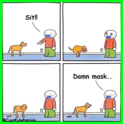 IMG_20240823_045138_312