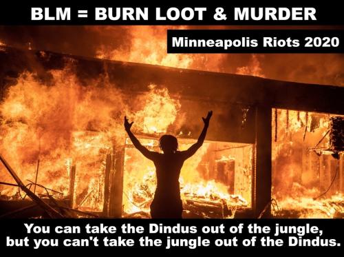 Burn Loot and Murder Minneapolis.960px