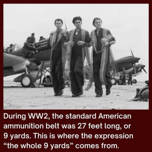 453647933_904706888353404_3545403194620758390_n