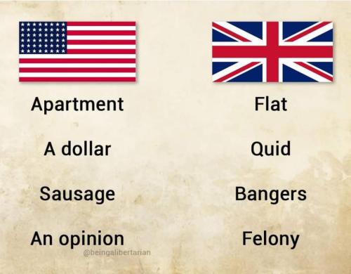 dddc0e6a-3752-4682-922b-c3707f884f70