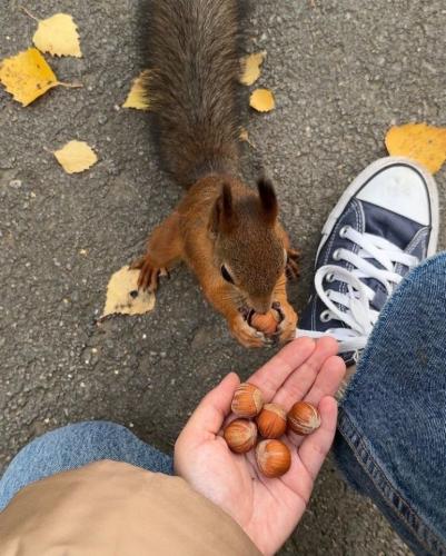 Tumblr_l_5486279437229