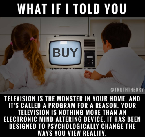 Screenshot_2024-08-18-02-55-12_kindlephoto-107844104