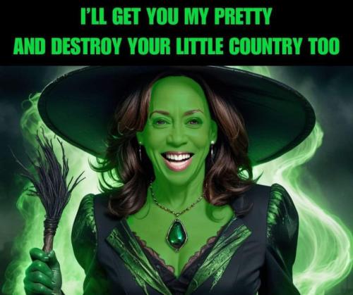 FB_IMG_1722714257198