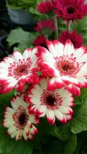 00:34:07 GMT-0500 (CDT)