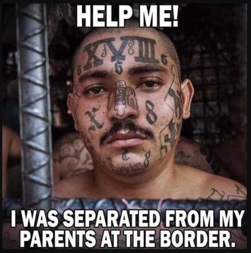 IMG_20240818_132850_827